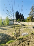 Image du bien UBI483715478